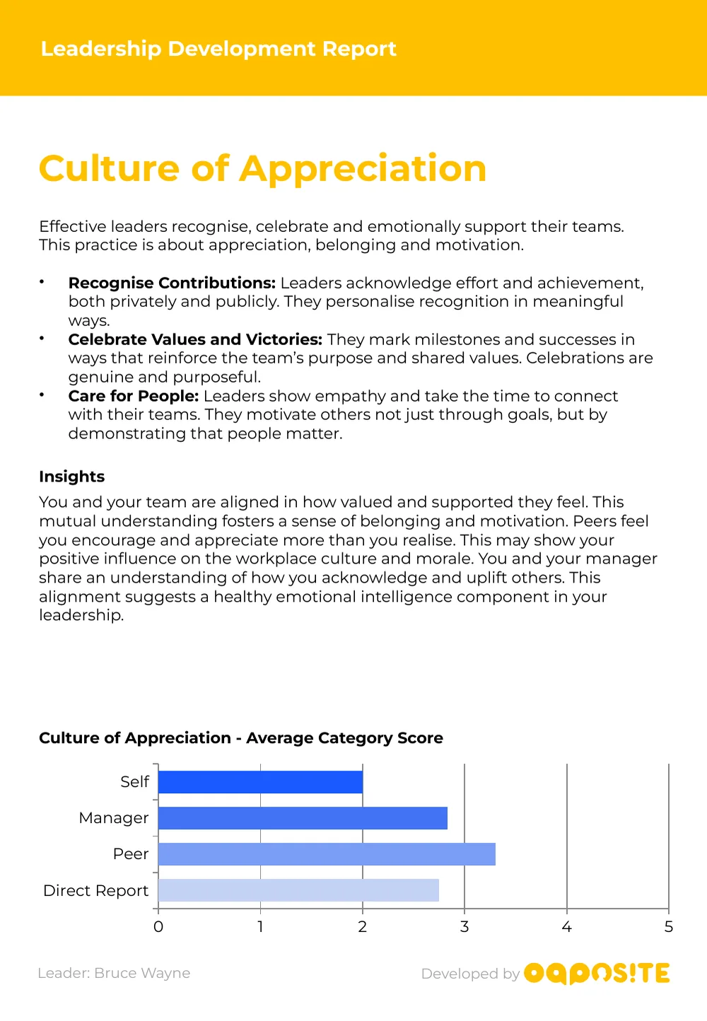 Culture of Appreciation: what the practice covers, an insight on how aligned the ratings are, and a bar chart of average scores by rater group.